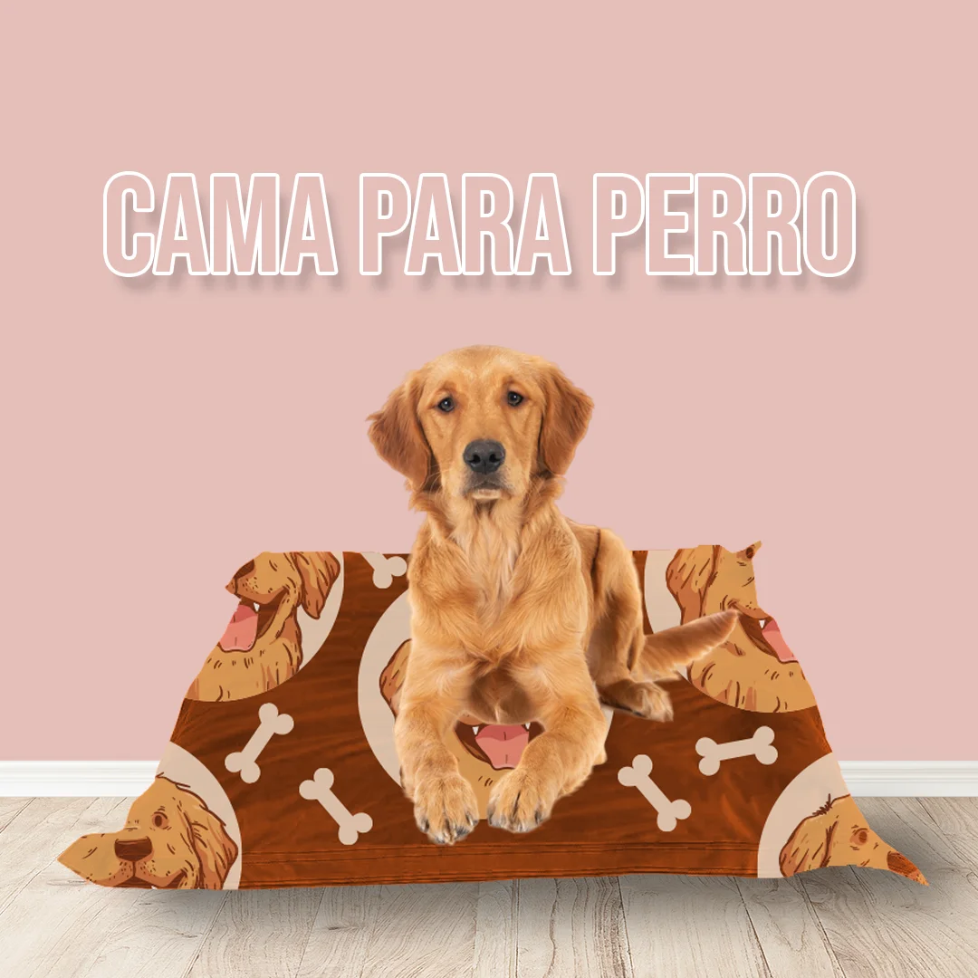 Cama Perro